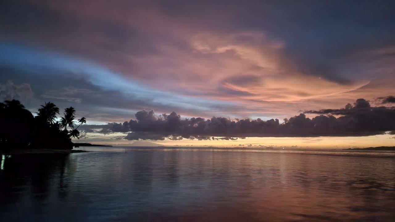 Terimakasih Homestay Pulau Mansuar Eksteriør bilde