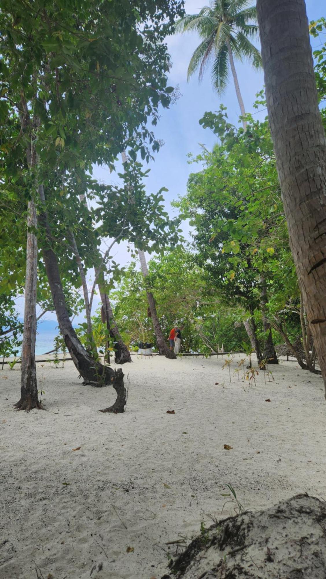 Terimakasih Homestay Pulau Mansuar Eksteriør bilde