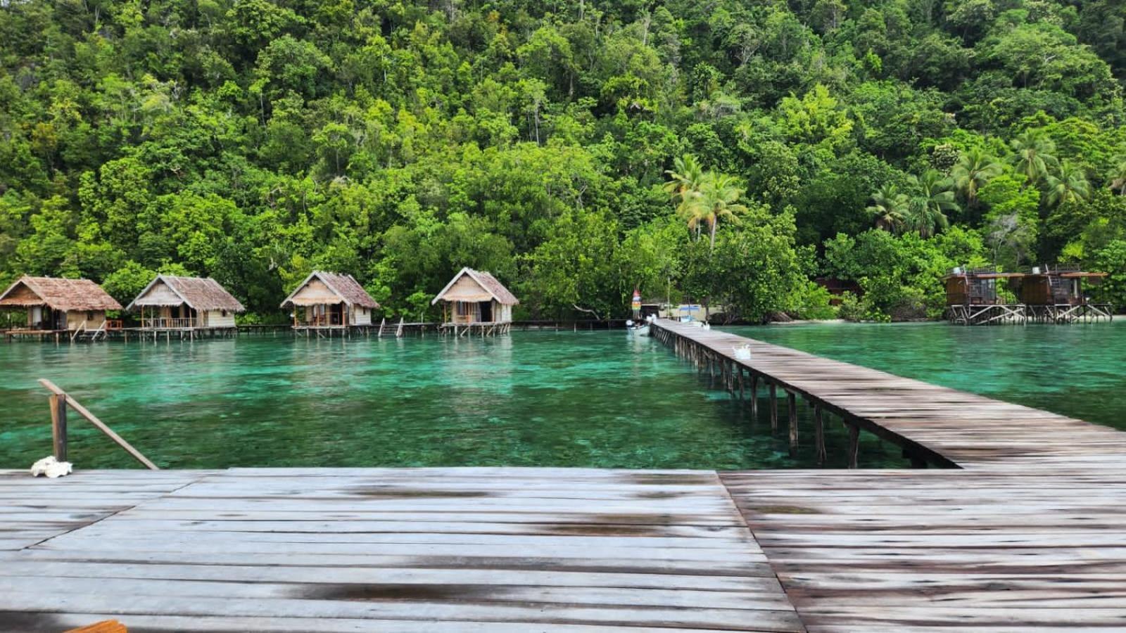 Terimakasih Homestay Pulau Mansuar Eksteriør bilde